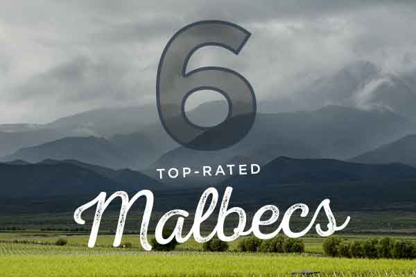 6 Top-Rated Malbecs | WineMadeEasy.com