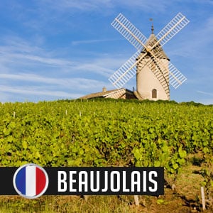 Wines of Beaujolais at WineDeals.com