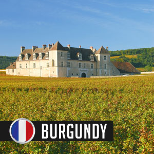 Wines of Burgundy at WineDeals.com