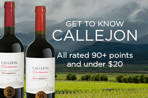 Get to Know Callejon Winery - 90+ pts and under $20 | WineTransit.com