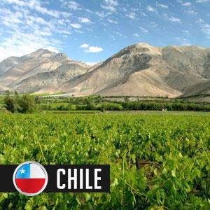 Wines of Chile at WineMadeEasy.com