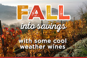 Fall into savings on cool weather wines | WineTransit.com