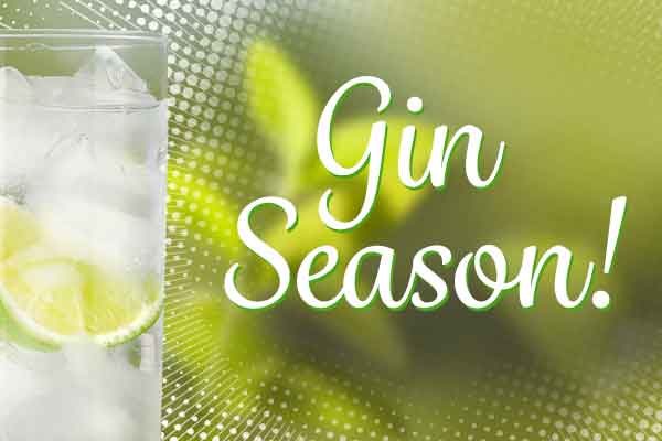 It's Gin Season - Get Refreshed! | WineTransit.com