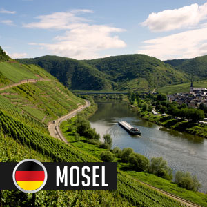 Wines of Mosel at WineDeals.com