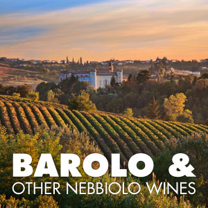 Barolo and Nebbiolo Wines at WineMadeEasy.com