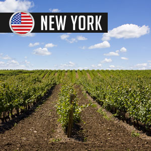 Wines of New York Wines at WineMadeEasy.com