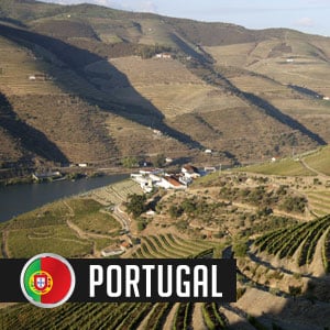 Wines of Portugal at WineMadeEasy.com
