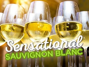 Save up to $5 on sensational Sauvignon Blancs | WineTransit.com