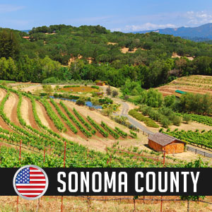 Wines of Sonoma County at WineDeals.com