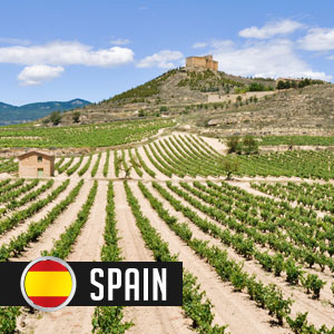 Wines of Spain at WineDeals.com