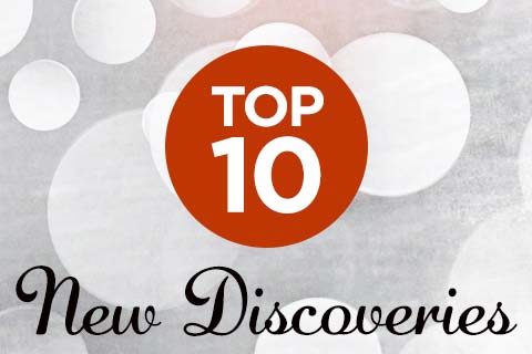 Our Top 10 New Discoveries | WineTransit.com