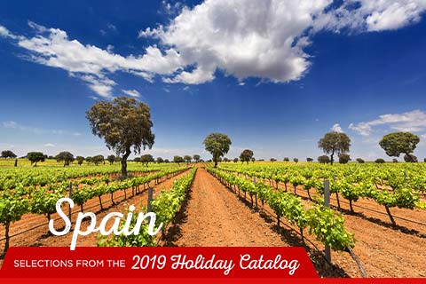Catalog 2019: Spain | WineTransit.com