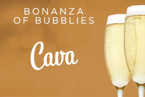 Bonanza of Bubblies - Cava | WineTransit.com
