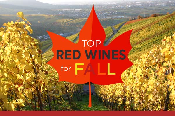 Top Red Wines for Fall | WineMadeEasy.com