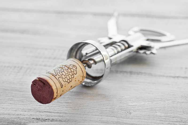 Browse Premium Barware and Bar Accessories at Premier Gourmet