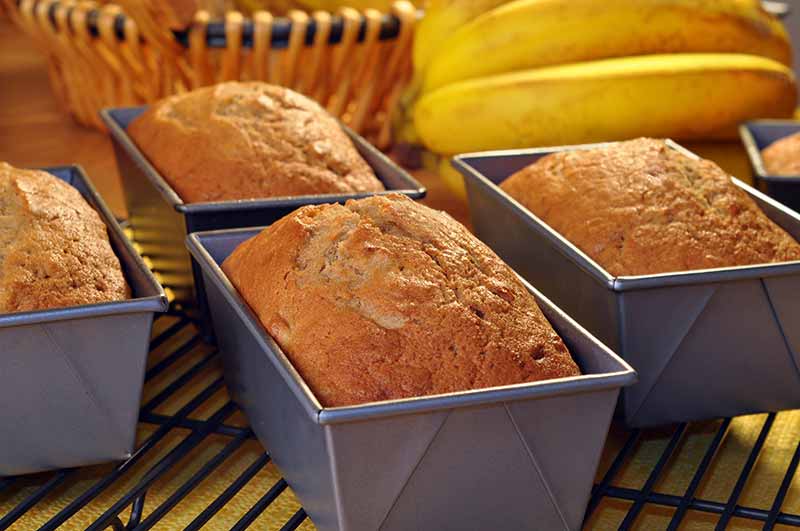 Shop Premium Bread and Loaf Pans at Premier Gourmet