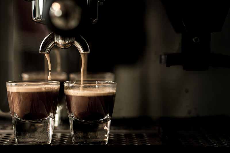 Purchase Premium Espresso Makers at Premier Gourmet