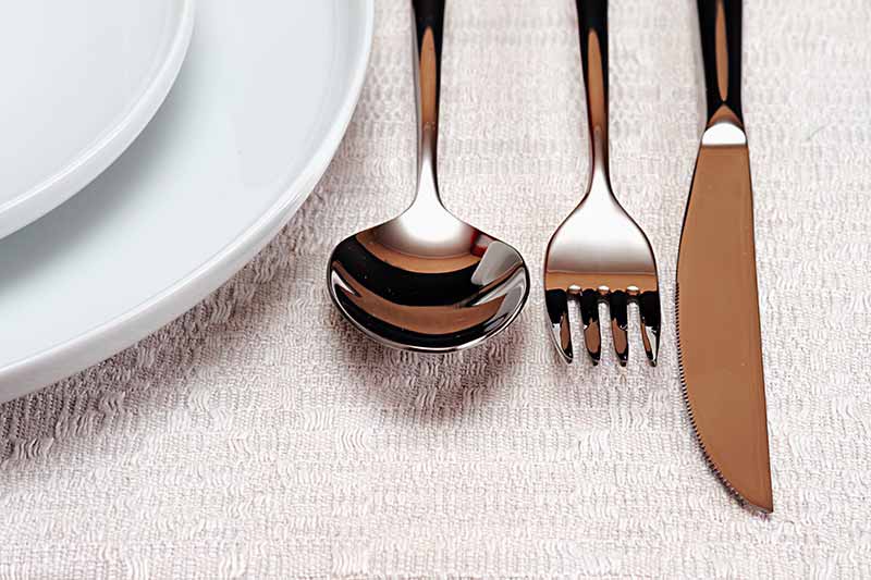 Find Fabulous Flatware at Premier Gourmet
