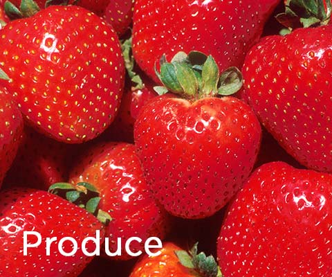 Shop Essentials: Produce at Premier Gourmet
