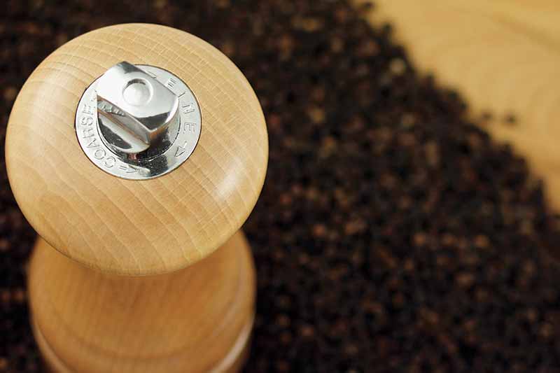 Buy the Best Salt and Pepper Mills at Premier Gourmet