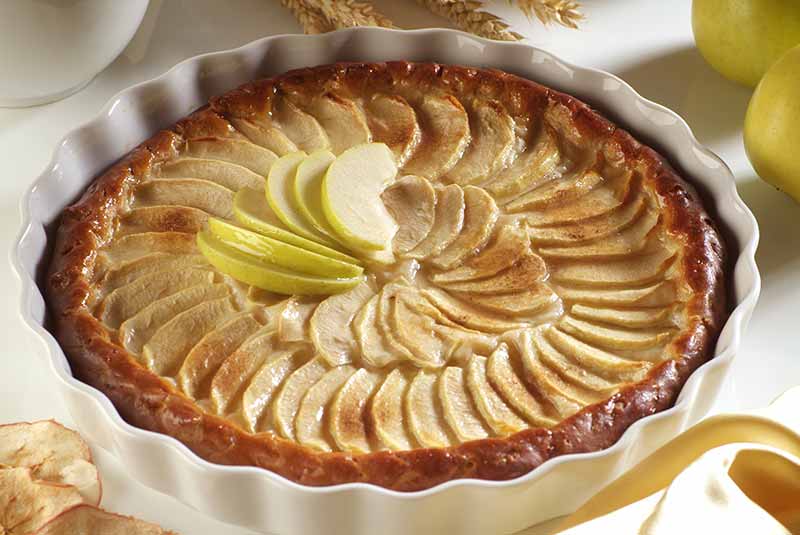 Find Premium Tart and Quiche Pans at Premier Gourmet