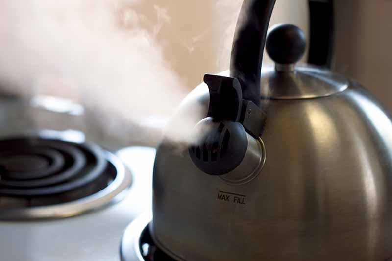 OXO Uplift Tea Kettle – Pryde's Kitchen & Necessities