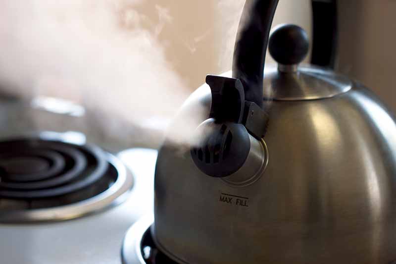 https://media.premiergroup.net/category/gourmet-teakettle.jpg