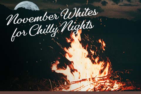 November Whites for Chilly Nights | WineMadeEasy.com