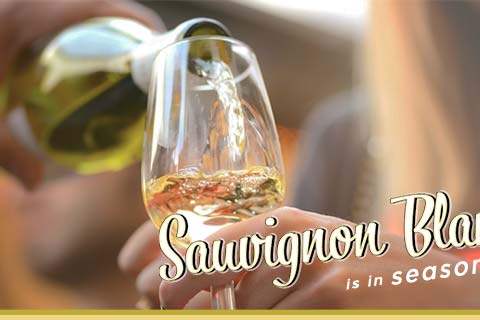 Sauvignon Blanc is in Season! | WineMadeEasy.com
