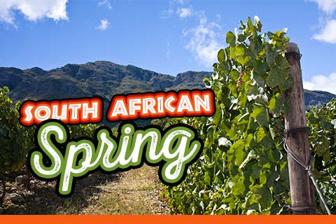 South African Spring | WineMadeEasy.com