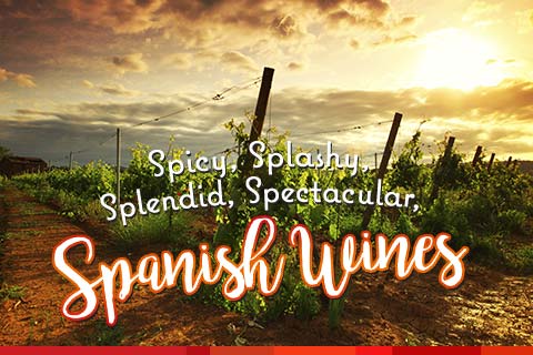 Spicy, Spectacular Spanish Wines | WineMadeEasy.com