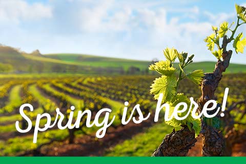 Spring is here! | WineMadeEasy.com