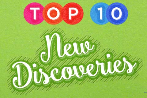 Our Top 10 New Discoveries | WineMadeEasy.com