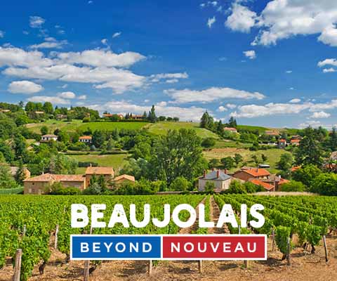 2020 Beaujolais: Beaujolais beyond Nouveau | WineMadeEasy.com