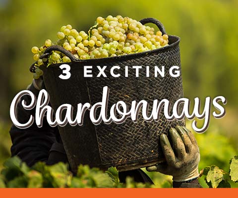 3 Exciting Chardonnays | WineMadeEasy.com