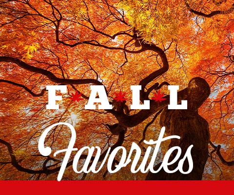 Fall Favorites are Here! | WineDeals.com