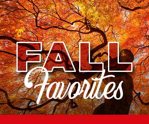 Fall Favorites are Here! | WineTransit.com