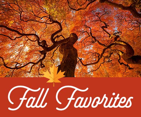 Fall Favorites are Here! | WineMadeEasy.com