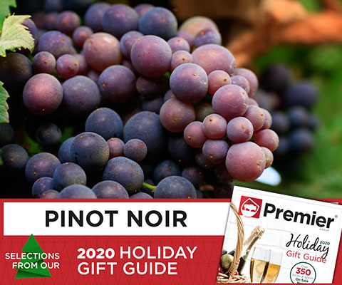 Holiday Gift Guide 2020: Pinot Noir | WineTransit.com