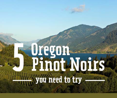 5 Oregon Pinot Noirs You Need to Try | WineDeals.com