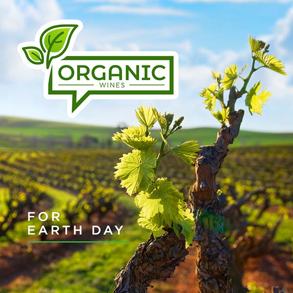 Organic Wines for Earth Day