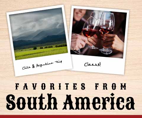 South American Favorites | WineMadeEasy.com