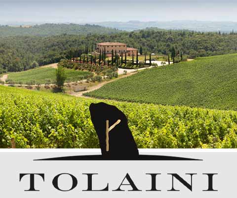 Tolaini: A Slice of Tuscany | WineTransit.com