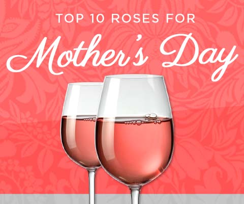 Top 10 Mother's Day Roses | WineTransit.com