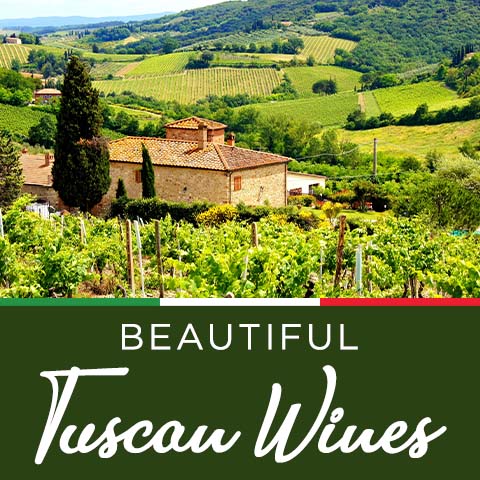 Beautiful Tuscan Wines | WineTransit.com