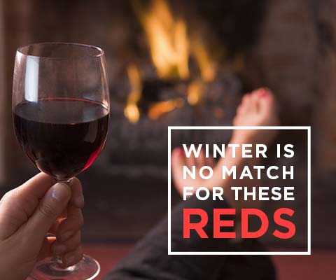Warm Up with These Warm-hearted Reds | WineTransit.com
